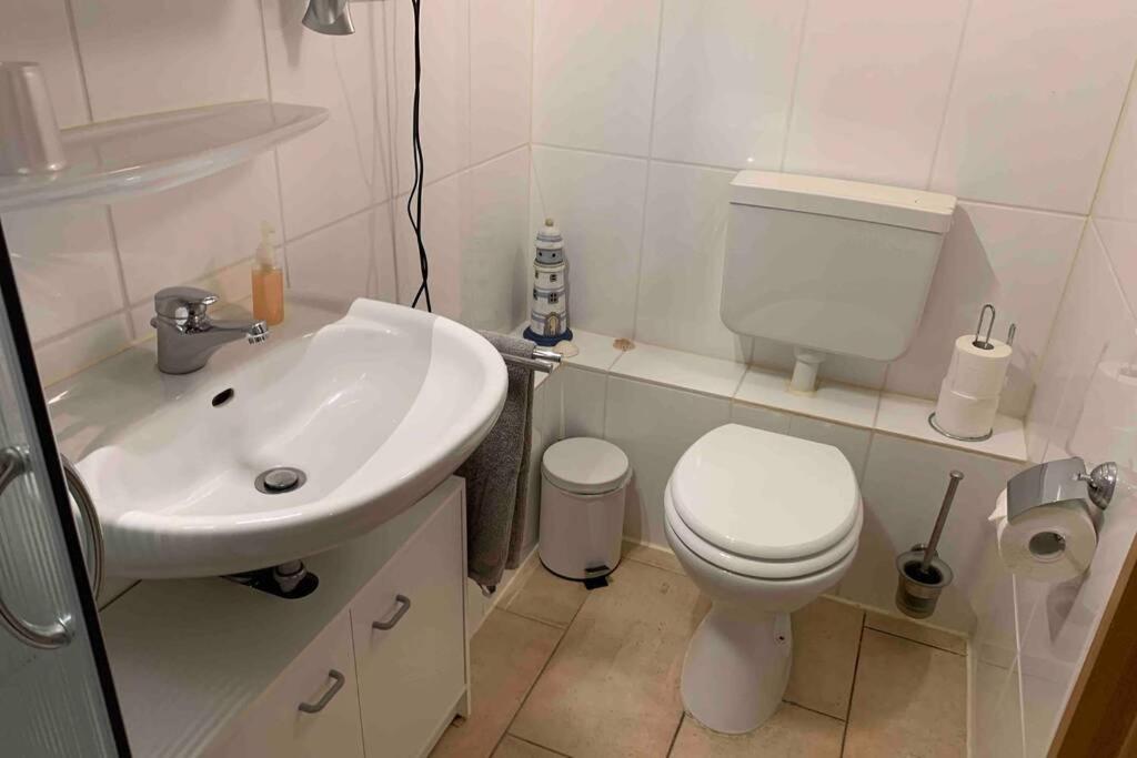Ferienwohnung Schmidt Rosengarten  Buitenkant foto