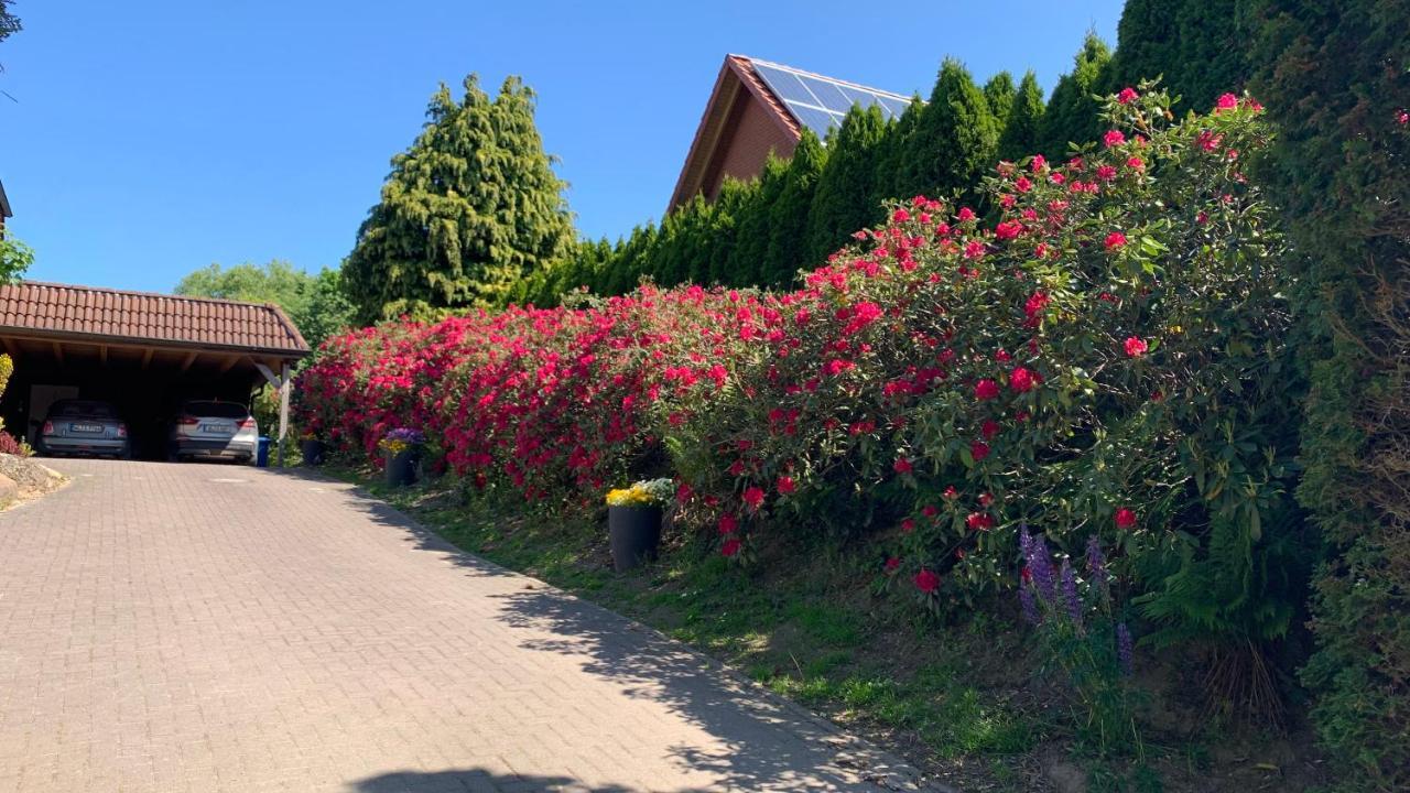Ferienwohnung Schmidt Rosengarten  Buitenkant foto